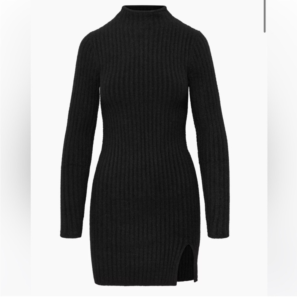Aritzia Turtleneck Dress (black)
